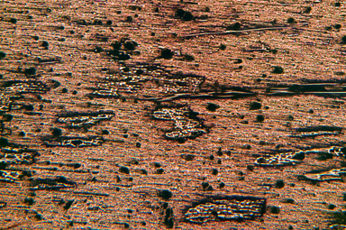 Composite under microscope 